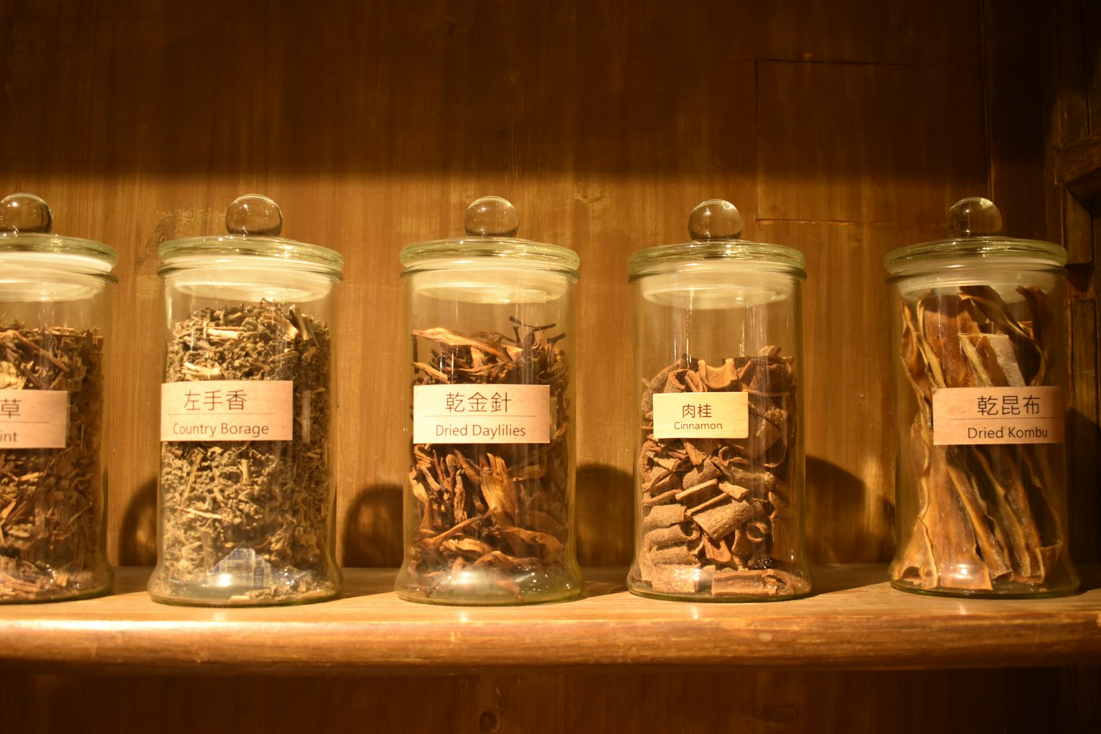 Glass jars of dried traditional Chinese medicinal herbs on a wooden shelf